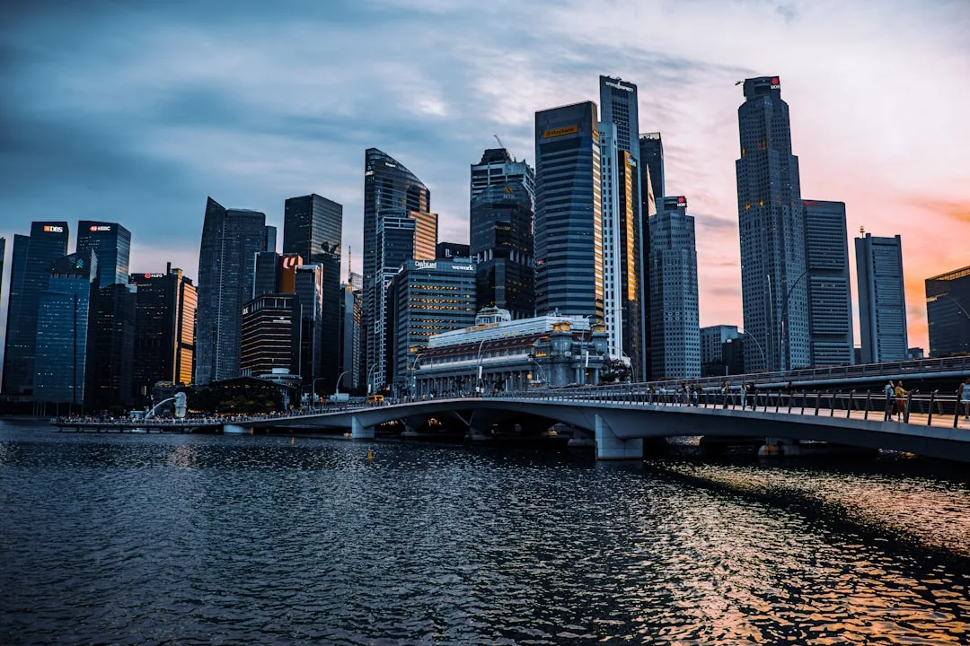 Singapore Transfer Pricing Compliance & Documentation Review, Singapore – Coutts Consultants